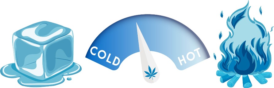 ABCS Of Cannabinoid Manufacturing