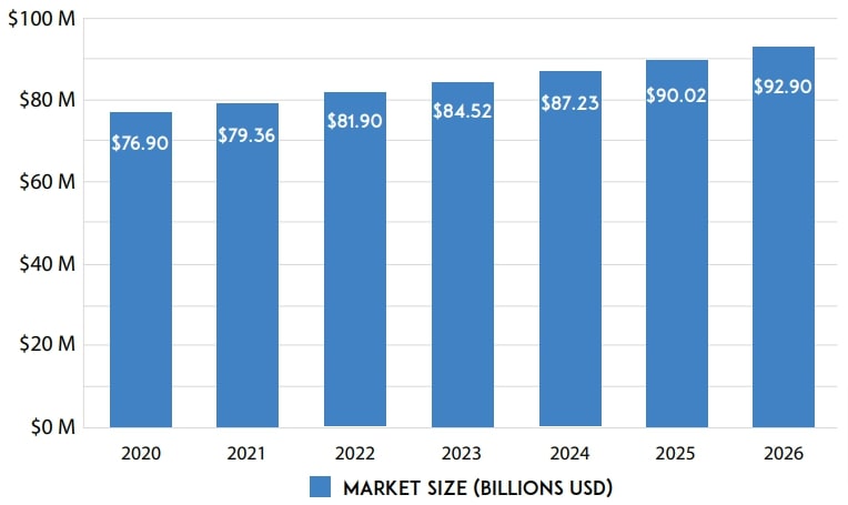 Cattle Feed Market Size