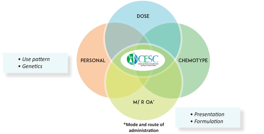 How We Break Down The Cannabis Industry ’s Product Taxonomy 