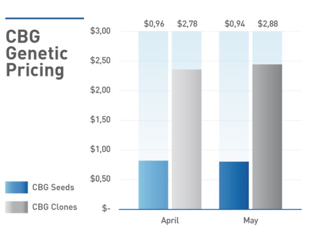 WHOLESALE-HEMP-GENETICS-PRICING-2